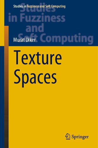 Texture Spaces (Studies in Fuzziness and Soft Computing, 411)