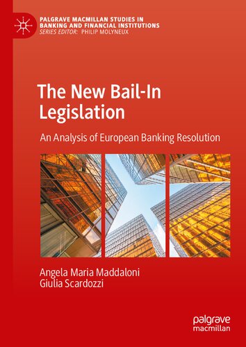 The New Bail-In Legislation: An Analysis of European Banking Resolution (Palgrave Macmillan Studies in Banking and Financial Institutions)