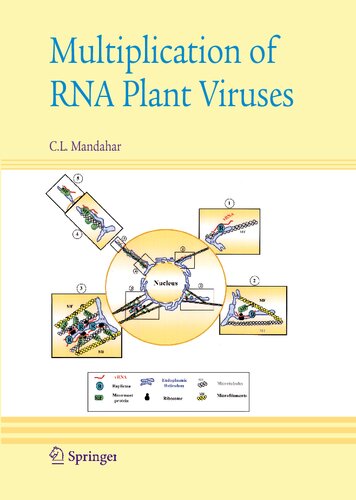 Multiplication of RNA Plant Viruses