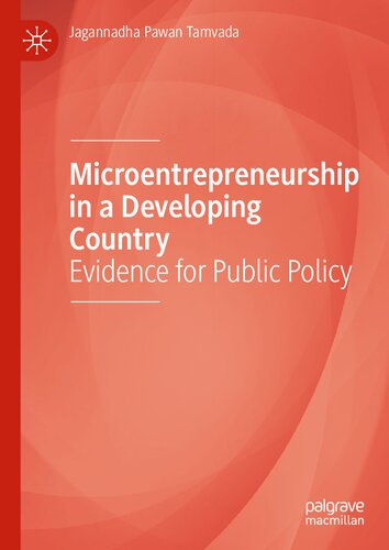 Microentrepreneurship in a Developing Country: Evidence for Public Policy