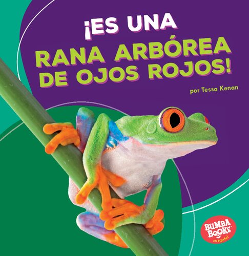 ¡Es una rana arbórea de ojos rojos! = It's a Red-Eyed Tree Frog!