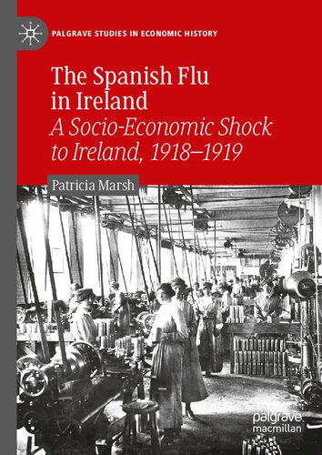 The Spanish Flu in Ireland: A Socio-Economic Shock to Ireland, 1918–1919 (Palgrave Studies in Economic History)