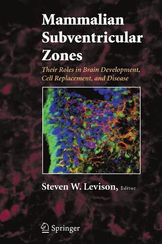 Mammalian Subventricular Zones: Their Roles in Brain Development, Cell Replacement, and Disease
