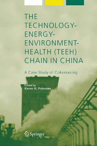 The Technology-Energy-Environment-Health (TEEH) Chain In China: A Case Study of Cokemaking (Alliance for Global Sustainability Bookseries, 8)