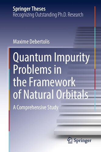 Quantum Impurity Problems in the Framework of Natural Orbitals: A Comprehensive Study (Springer Theses)