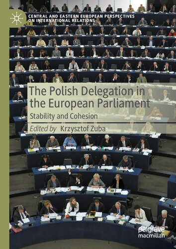 The Polish Delegation in the European Parliament: Stability and Cohesion (Central and Eastern European Perspectives on International Relations)