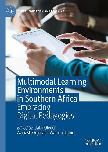 Multimodal Learning Environments in Southern Africa: Embracing Digital Pedagogies (Digital Education and Learning)
