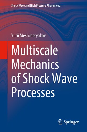 Multiscale Mechanics of Shock Wave Processes (Shock Wave and High Pressure Phenomena)