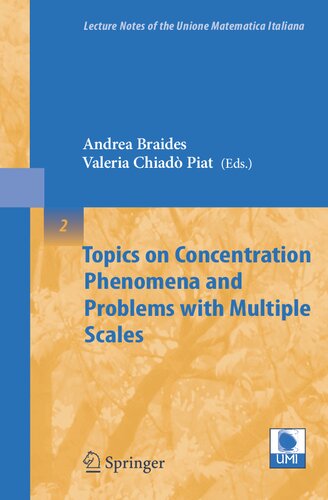 Topics on Concentration Phenomena and Problems with Multiple Scales (Lecture Notes of the Unione Matematica Italiana, 2)