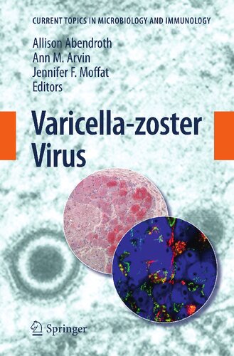 Varicella-zoster Virus (Current Topics in Microbiology and Immunology, 342)