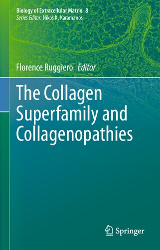 The Collagen Superfamily and Collagenopathies (Biology of Extracellular Matrix, 8)