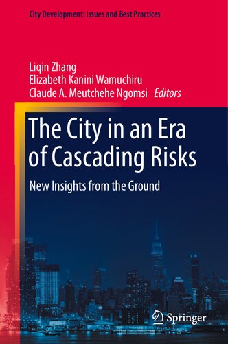 The City in an Era of Cascading Risks: New Insights from the Ground (City Development: Issues and Best Practices)
