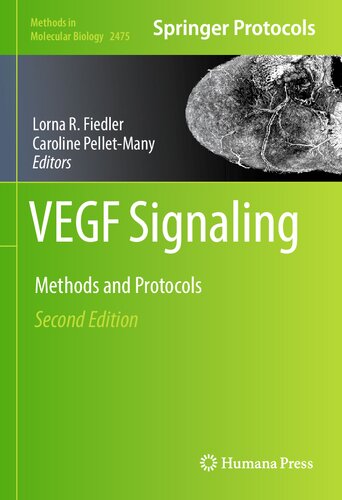 VEGF Signaling: Methods and Protocols (Methods in Molecular Biology, 2475)