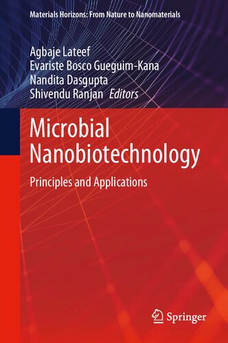 Microbial Nanobiotechnology: Principles and Applications (Materials Horizons: From Nature to Nanomaterials)