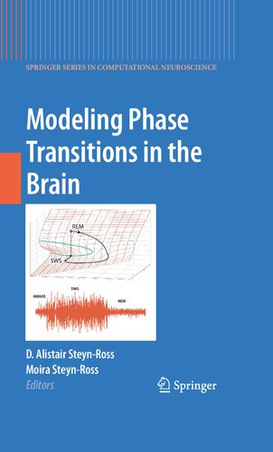 Modeling Phase Transitions in the Brain (Springer Series in Computational Neuroscience, 4)