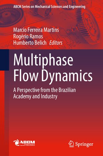 Multiphase Flow Dynamics: A Perspective from the Brazilian Academy and Industry (Lecture Notes in Mechanical Engineering)