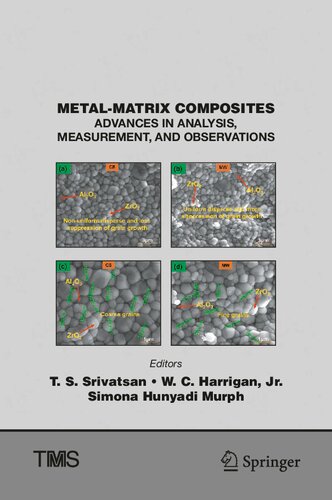 Metal-Matrix Composites: Advances in Analysis, Measurement, and Observations (The Minerals, Metals & Materials Series)