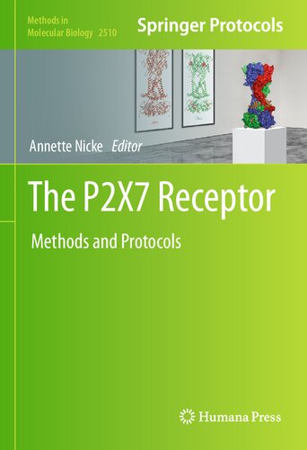 The P2X7 Receptor: Methods and Protocols (Methods in Molecular Biology, 2510)