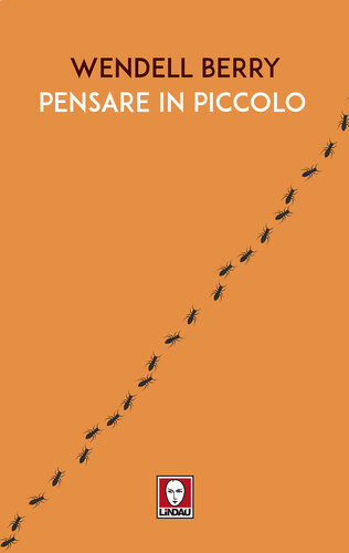 Pensare in piccolo