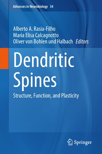 Dendritic Spines: Structure, Function, and Plasticity (Advances in Neurobiology, 34)