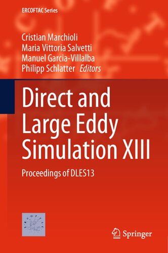 Direct and Large Eddy Simulation XIII: Proceedings of DLES13 (ERCOFTAC Series, 31)
