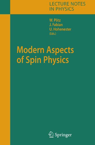 Modern Aspects of Spin Physics (Lecture Notes in Physics, 712)