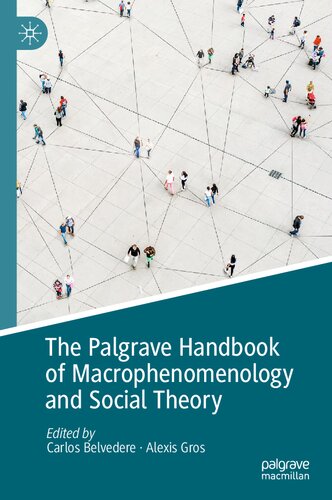 The Palgrave Handbook of Macrophenomenology and Social Theory