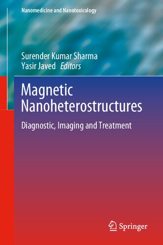 Magnetic Nanoheterostructures: Diagnostic, Imaging and Treatment