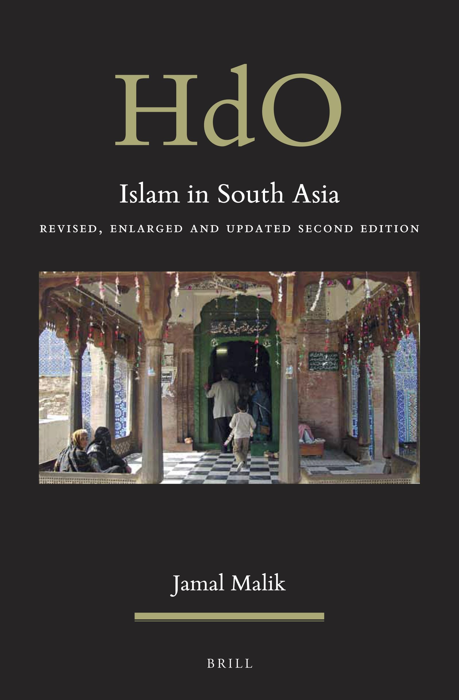 Islam in South Asia Revised, Enlarged and Updated Second Edition (Handbook of Oriental Studies - Section Two South Asia, 37)