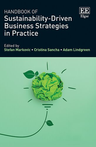 Handbook of Sustainability-Driven Strategy in Practice