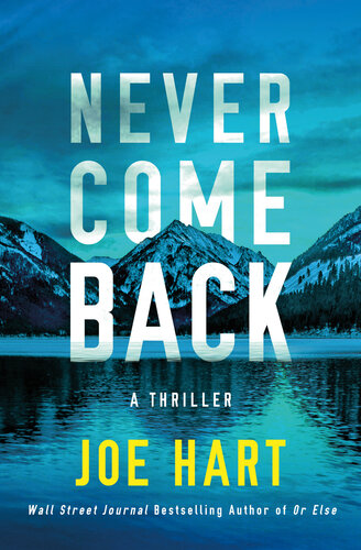 Never Come Back: A Thriller (Nora McTavish)