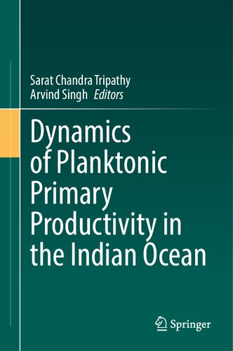 Dynamics of Planktonic Primary Productivity in the Indian Ocean