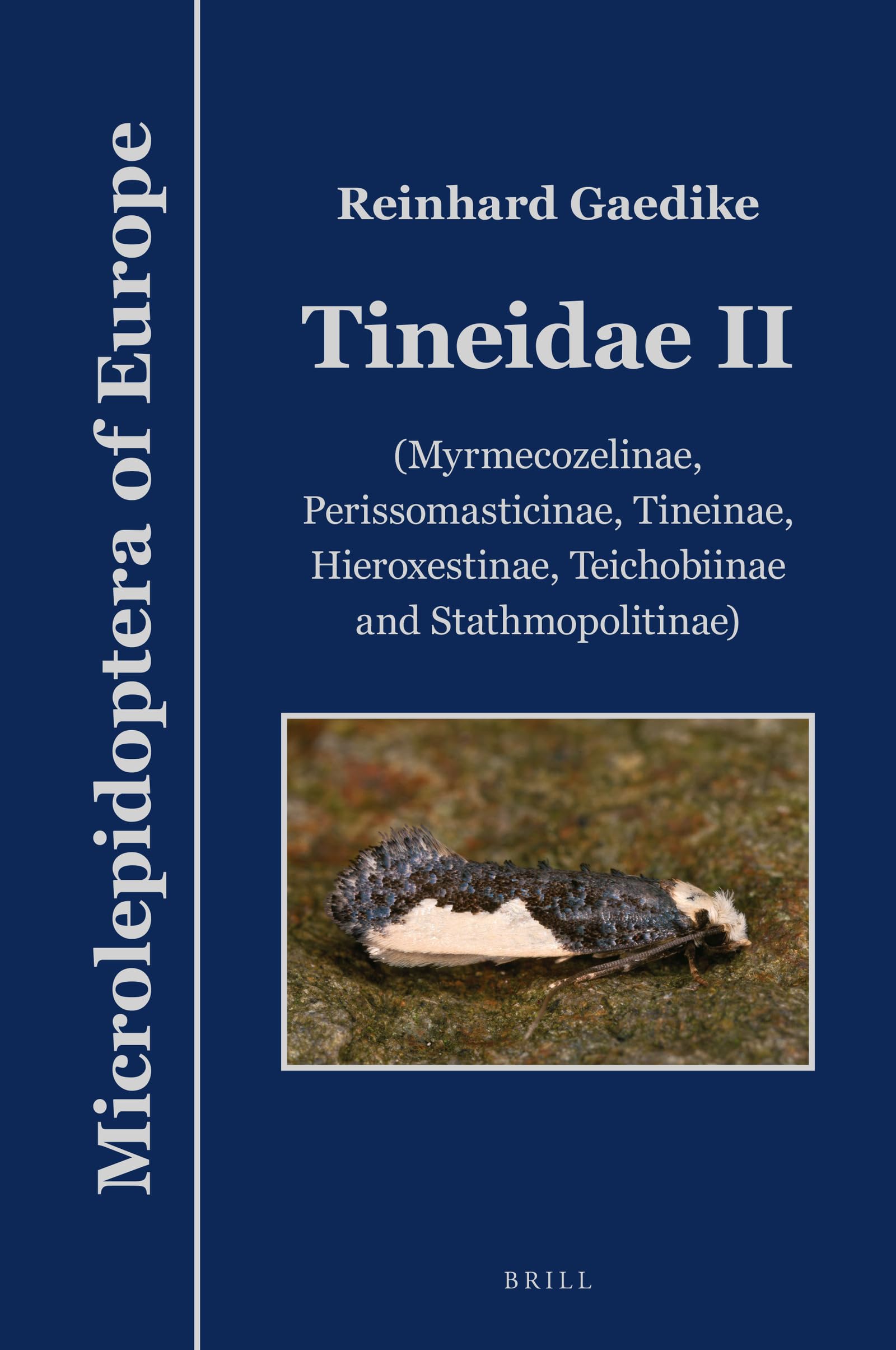 Tineidae II (Microlepidoptera of Europe)
