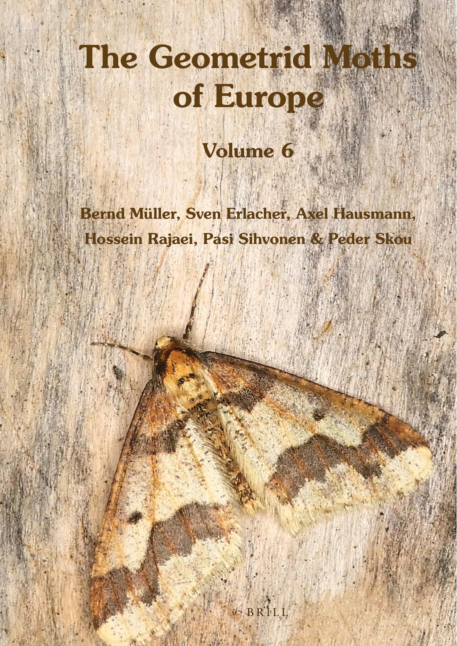 Ennominae II (Geometrid Moths of Europe)