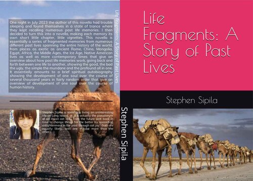 Life Fragments: A Story of Past Lives