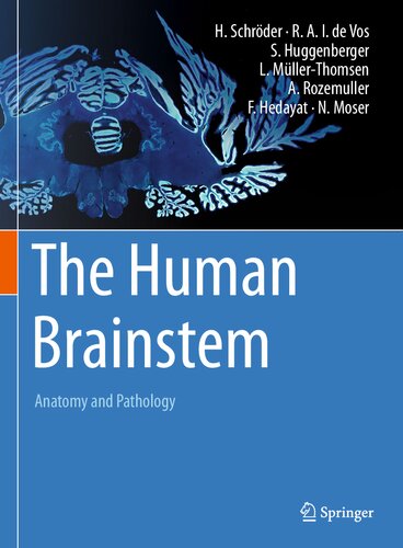 The Human Brainstem: Anatomy and Pathology