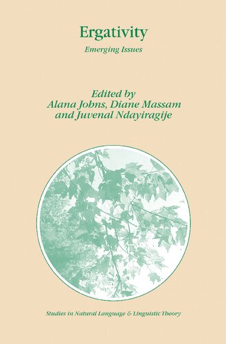 Roots and Patterns: Hebrew Morpho-syntax (Studies in Natural Language and Linguistic Theory, 63)