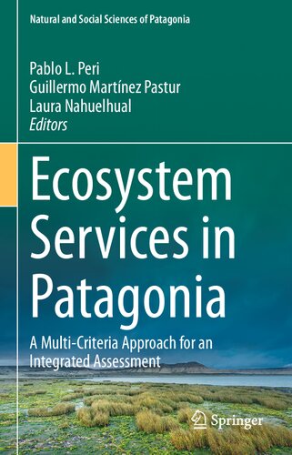 Ecosystem Services in Patagonia: A Multi-Criteria Approach for an Integrated Assessment
