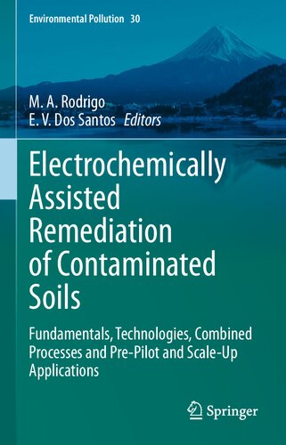 Electrochemically Assisted Remediation of Contaminated Soils: Fundamentals, Technologies, Combined Processes and Pre-Pilot and Scale-Up Applications (Environmental Pollution, 30)