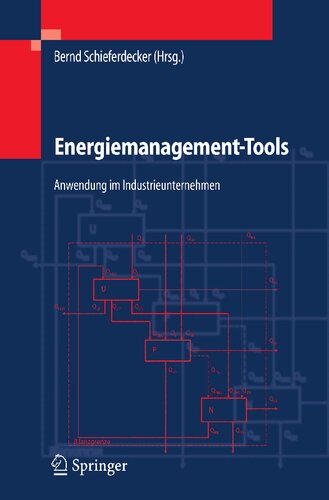 Energiemanagement-Tools: Anwendung im Industrieunternehmen (VDI-Buch) (German Edition)