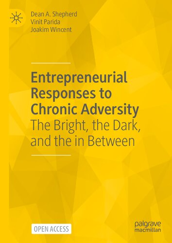Entrepreneurial Responses to Chronic Adversity: The Bright, the Dark, and the in Between