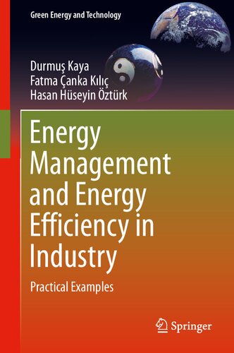 Energy Management and Energy Efficiency in Industry: Practical Examples (Green Energy and Technology)