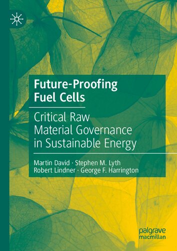 Future-Proofing Fuel Cells: Critical Raw Material Governance in Sustainable Energy