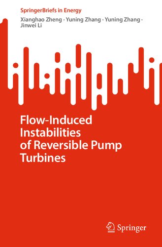 Flow-Induced Instabilities of Reversible Pump Turbines (SpringerBriefs in Energy)