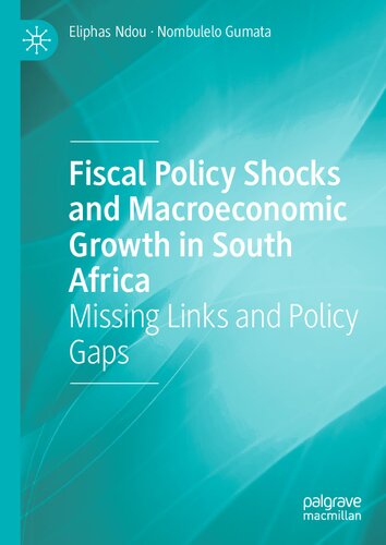 Fiscal Policy Shocks and Macroeconomic Growth in South Africa: Missing Links and Policy Gaps