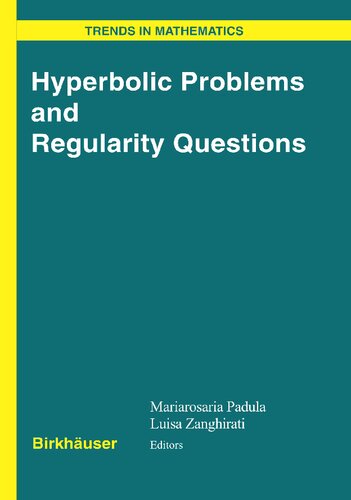Hyperbolic Problems and Regularity Questions