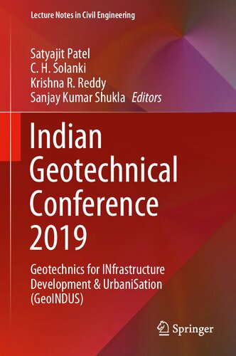 Indian Geotechnical Conference 2019: Geotechnics for INfrastructure Development & UrbaniSation (GeoINDUS) (Lecture Notes in Civil Engineering, 140)