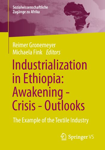 Industrialization in Ethiopia: Awakening - Crisis - Outlooks: The Example of the Textile Industry (Sozialwissenschaftliche Zugänge zu Afrika)