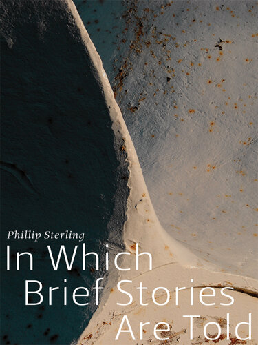 In Which Brief Stories Are Told (Made in Michigan Writer Series)