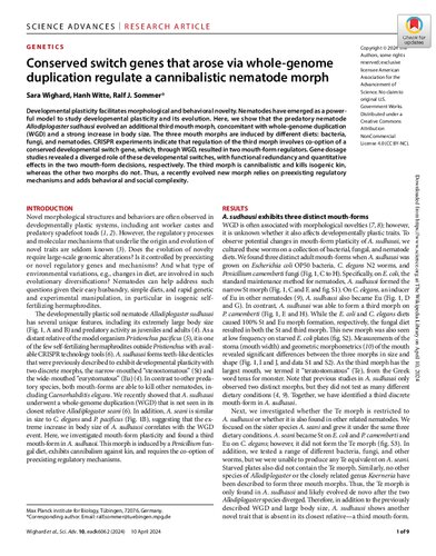 Conserved switch genes that arose via whole-genome duplication regulate a cannibalistic nematode morph